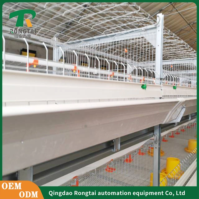 Automatic Incubator and Hatcher Poultry Equipment of Egg Layer Chicken Cage Farming Automatic