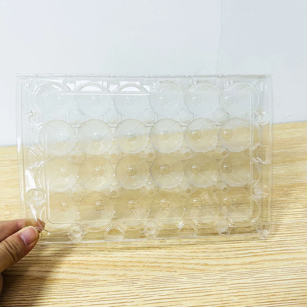 Одноразовый пластиковый лоток для яиц PP Утолщение упаковочного ящика для предотвращения столкновений 24PCS