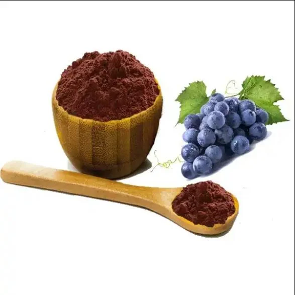 Best Price of Grape Fruits Seed 20: 1 Grape Seed Extract