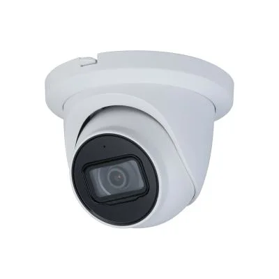 OEM Dahua 2MP 4MP 5MP 8MP 4K Dome Bullet Fisheye Eyeball Poe IP Security CCTV Camera in Stock