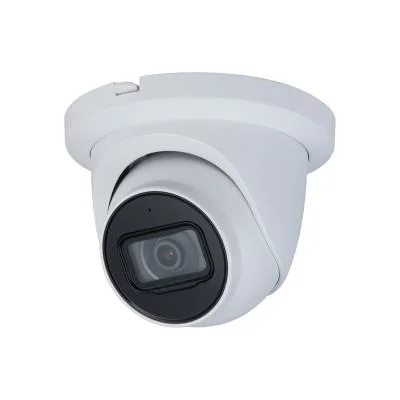 Original Dahua 2MP 4MP 5MP 8MP 4K Kuppelkugel Fisheye Eyeball Poe IP-Sicherheits-CCTV-Kamera auf Lager