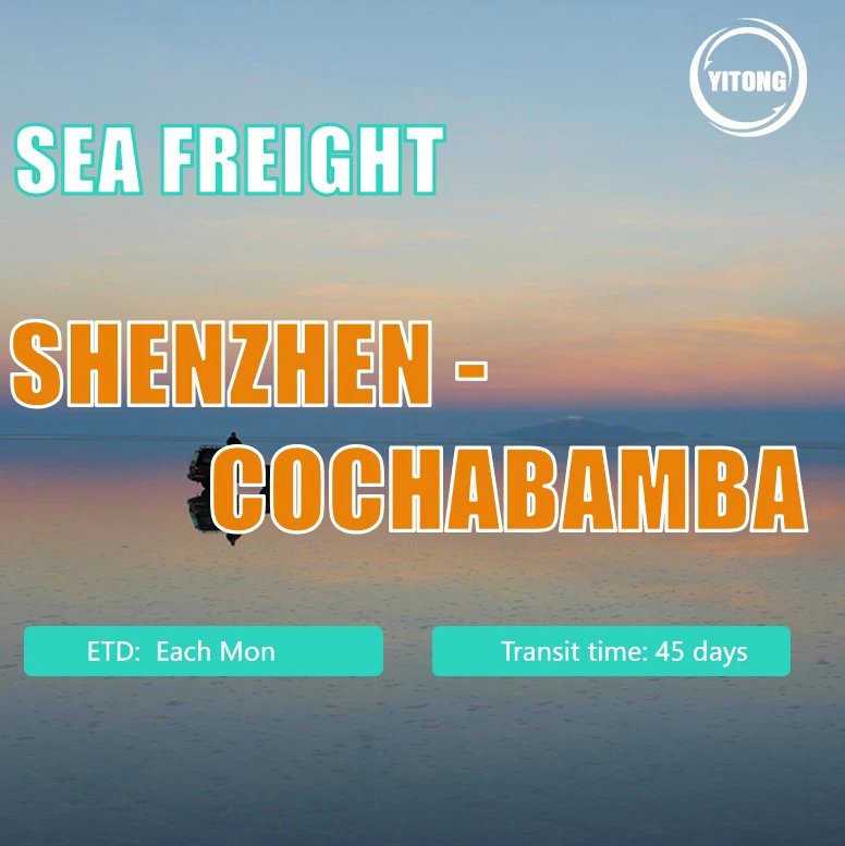 Seefracht von Qingdao nach Cochabamba