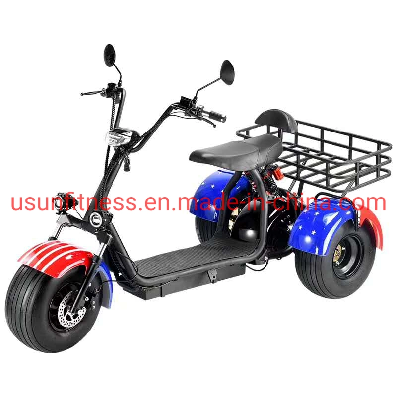 Special Vehicles for Farms and Gardens Electric 3 Wheel Scooter Electric Tricycle Cargo with CE