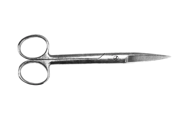 Acero inoxidable profesional Scissors-Straight señaló