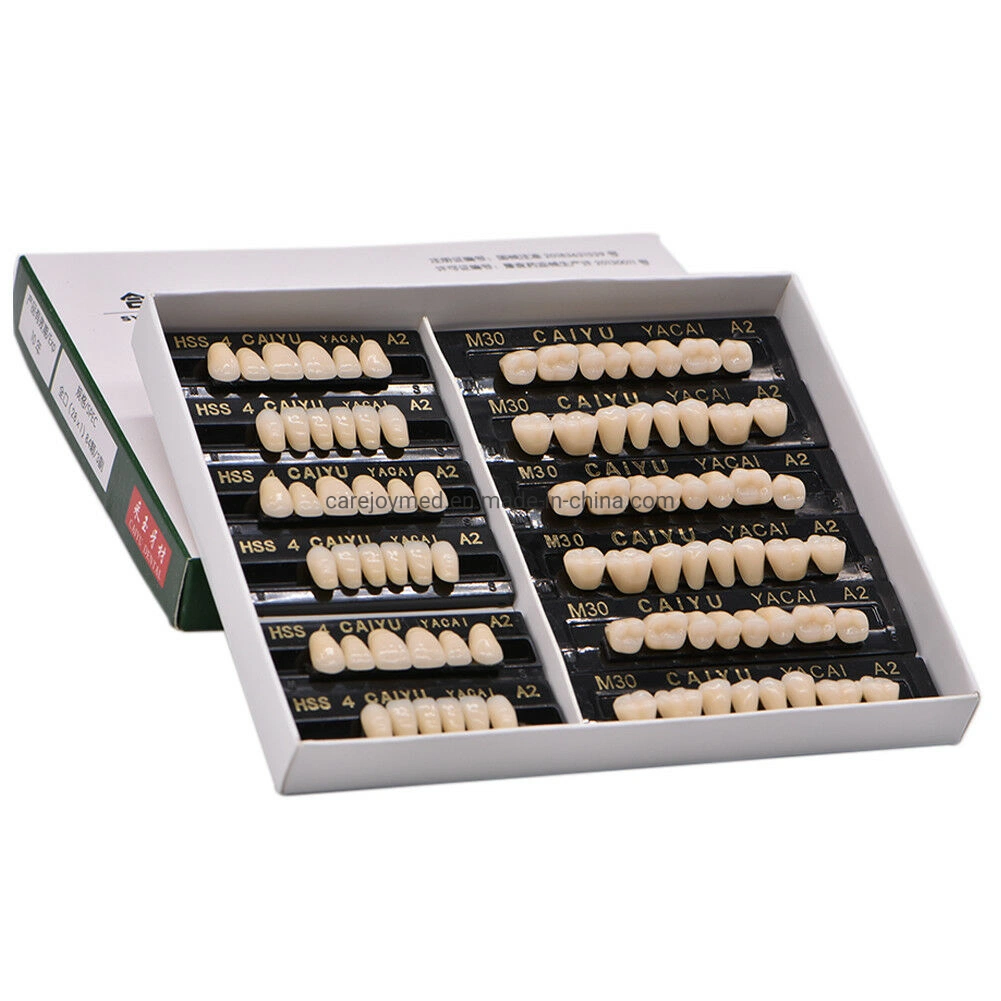 Factory Advanced Type Dental Artificial Denture Acrylic Resin Teeth Set