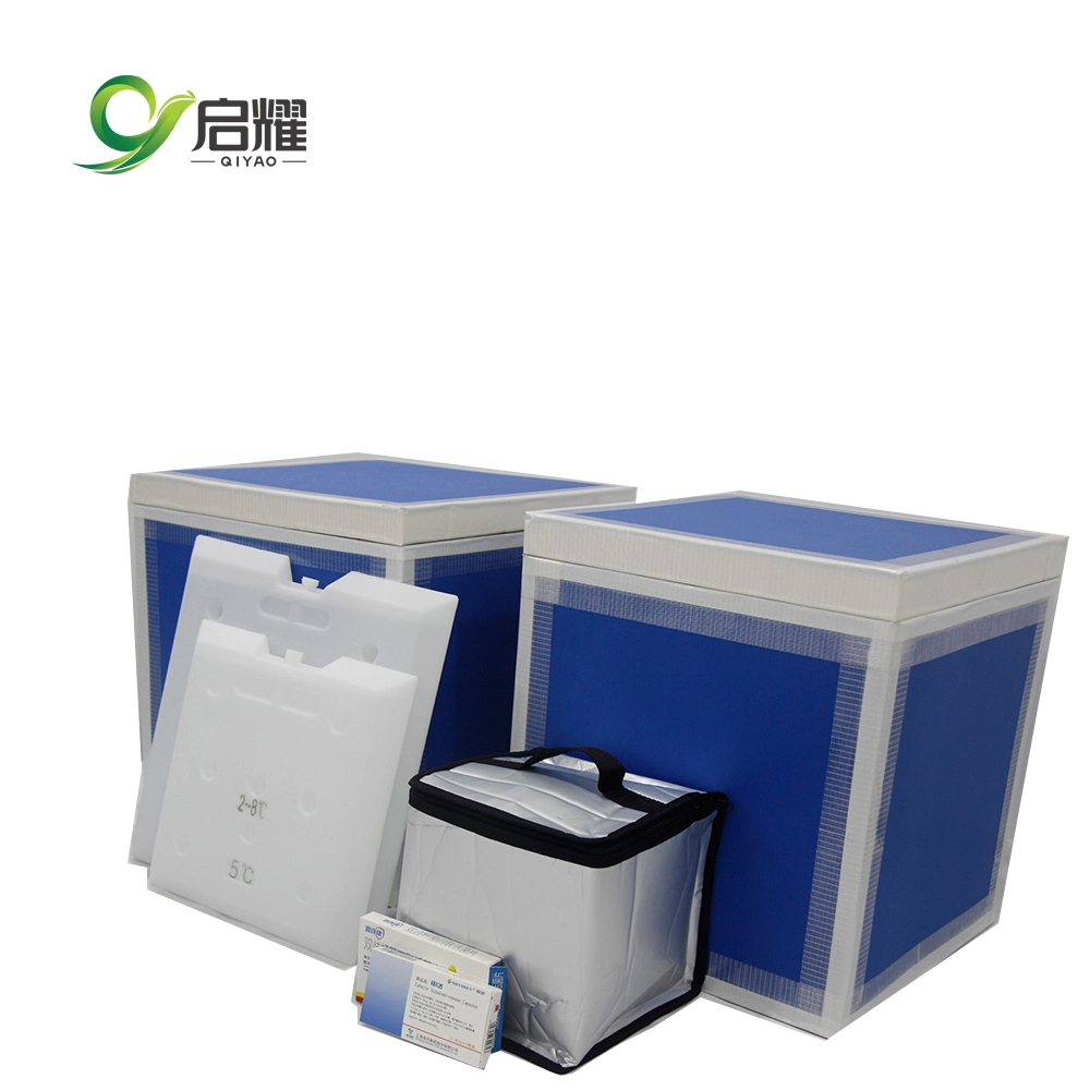 Customize Portable Insulation Picnic Cooler Bag Vaccine Refrigerator for Insulin