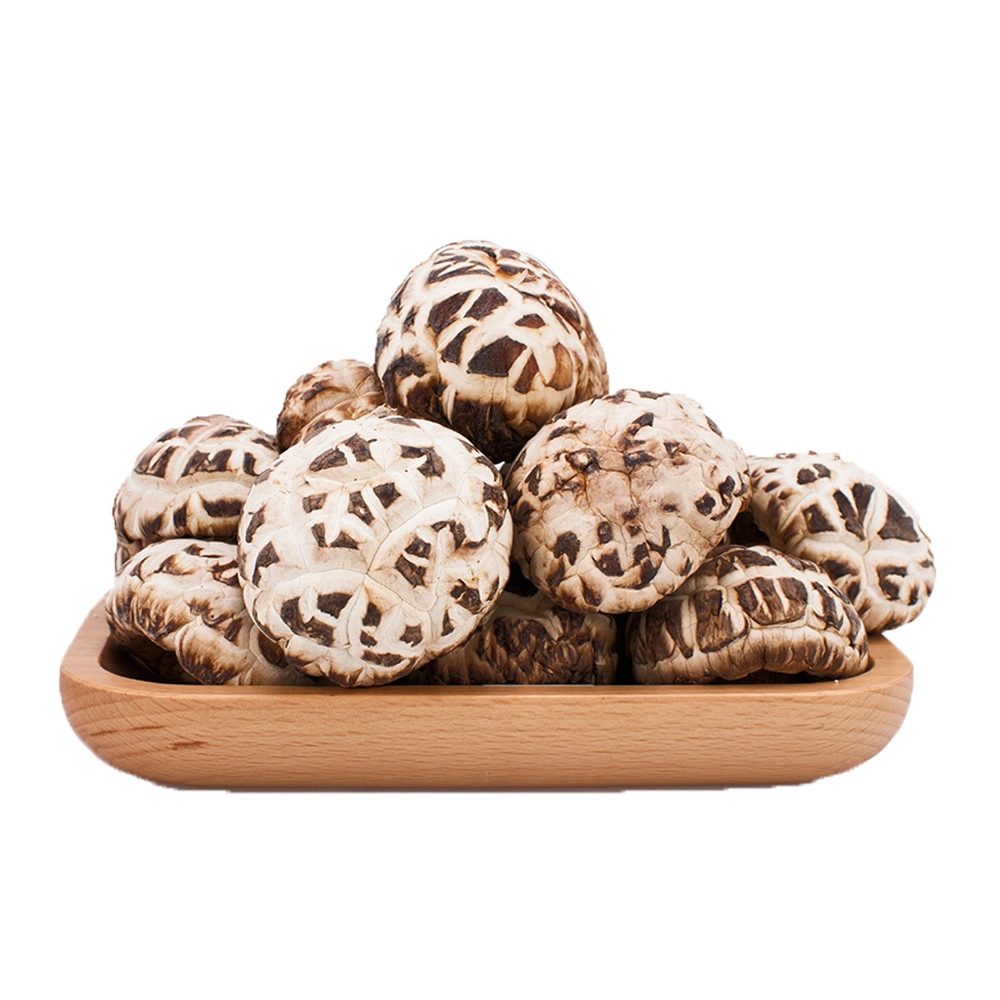 High Health Value Sliced Dehydrated Mushroom for Sale