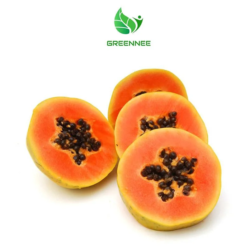 Factory Supply 100% Natural Dried Papaya Powder Papaya Vegetable Powder Breast Enhancement