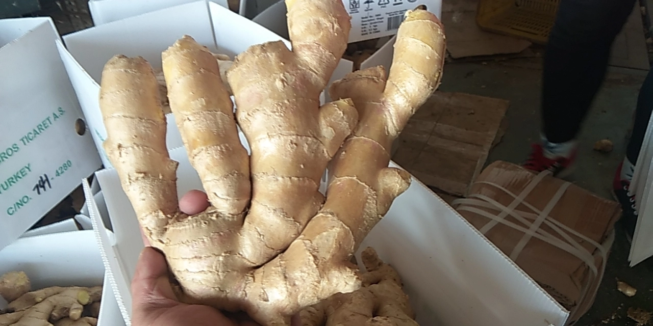 Europe Standard Air Dry Ginger for Export