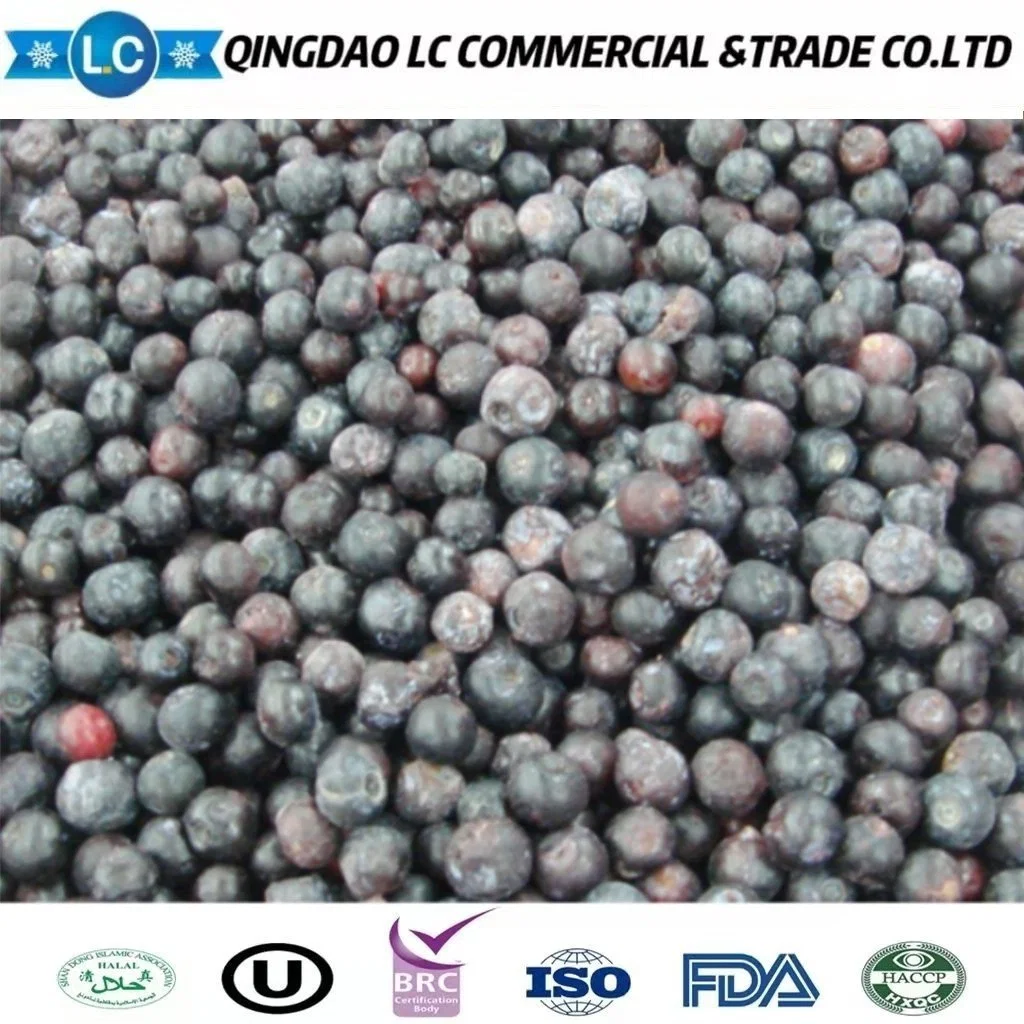 IQF Frozen Wild Blueberry with Good Price