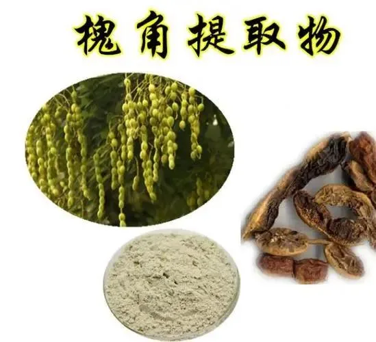 E. K Herb Supply Natural Gorse/Genista Root Extract Powder Genistein 98% 99% CAS 446-72-0 Sophora Fruit Extract