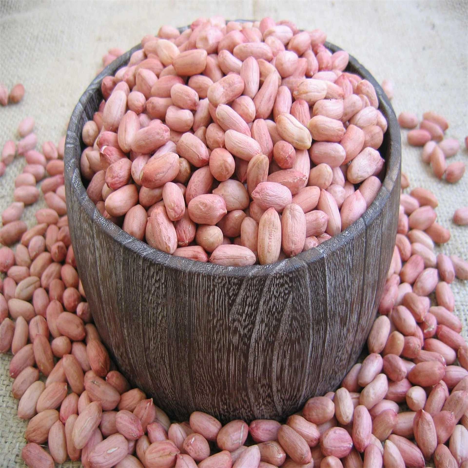 China Peanut Big Size Peanut Kernel Red Skin Cheap Price Good Quality