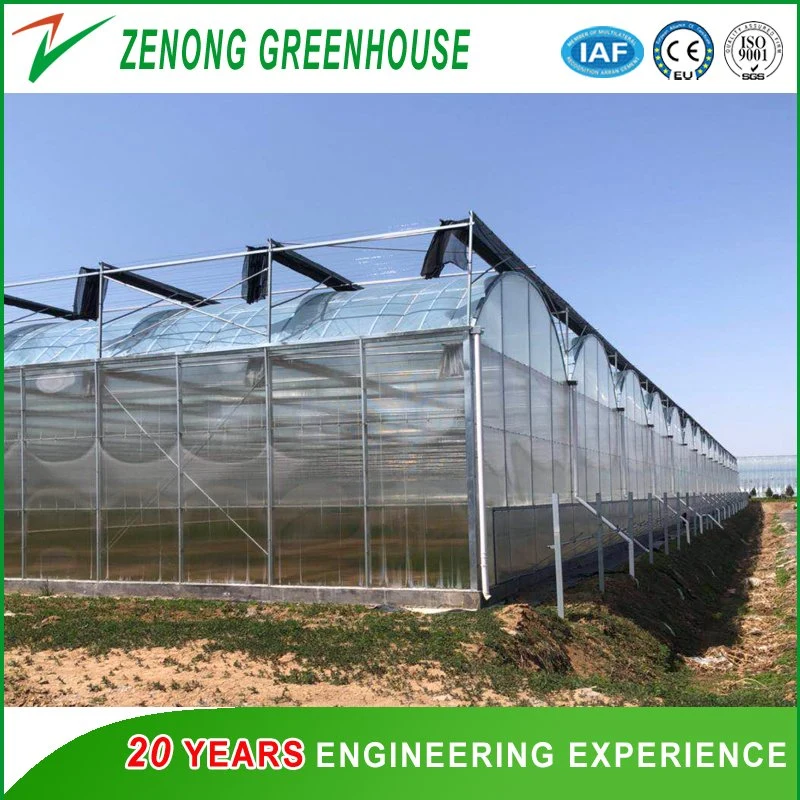 Landwirtschaft Film Gewächshaus Polycarbonat / Glas Wandfolie Dach Green House Double Schicht-luftgefüllte Foliengewächshäuser für den Mittleren Asien-Distrikt/Uz/KZ/Tkm usw.