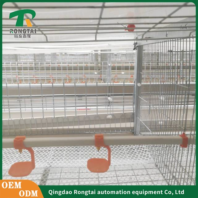 Automatic Poultry Equipment Broiler Feeding and Drinking System Chicken Farm Equipment