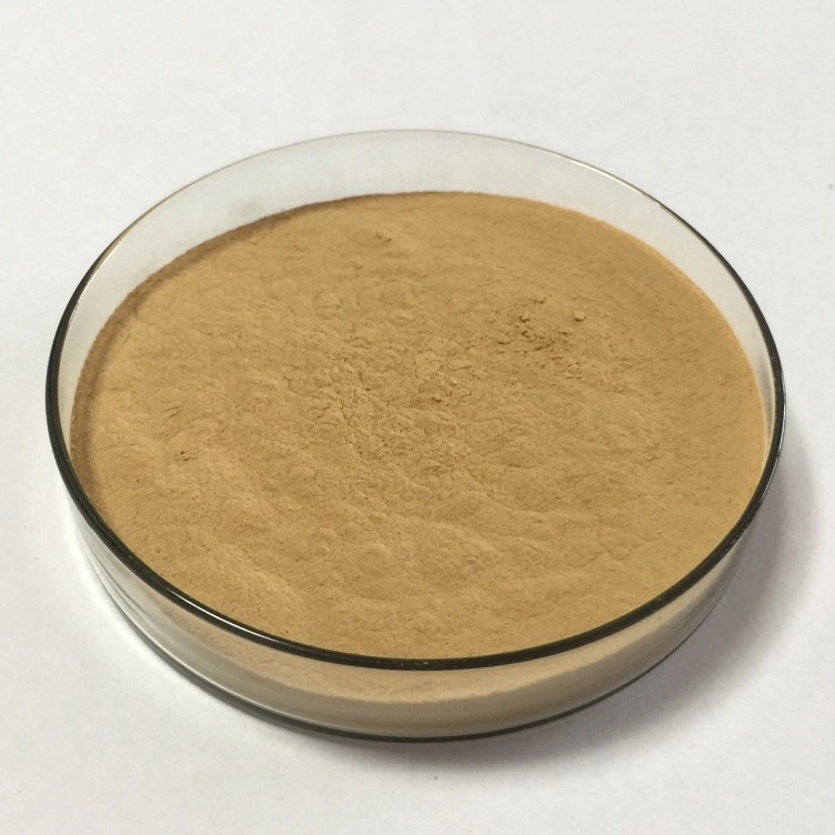 SOST Supply Organic Horsetail Powder Extract Silicic Acid