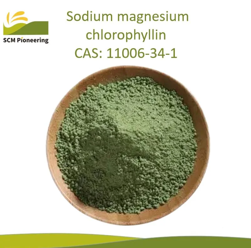 Le grade pharmaceutique Colorants Chlorophyllin de magnésium de sodium en poudre V