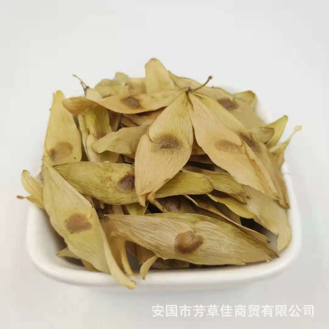 Fruit of Tree-of-Heaven Ailanthus, Feng Yan Cao