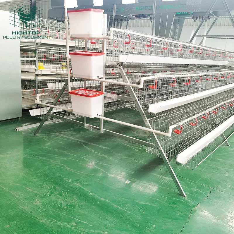 Nivel 3 de galvanizado 2.15 m de largo 5 nidos de aves de corral de la capa de gallina ponedora jaulas con alimentador automático