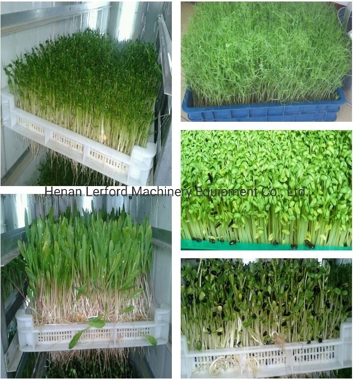 Farm Used Hydroponic System Green Fodder Sprouting Growing Machine Green Grass Making Machine