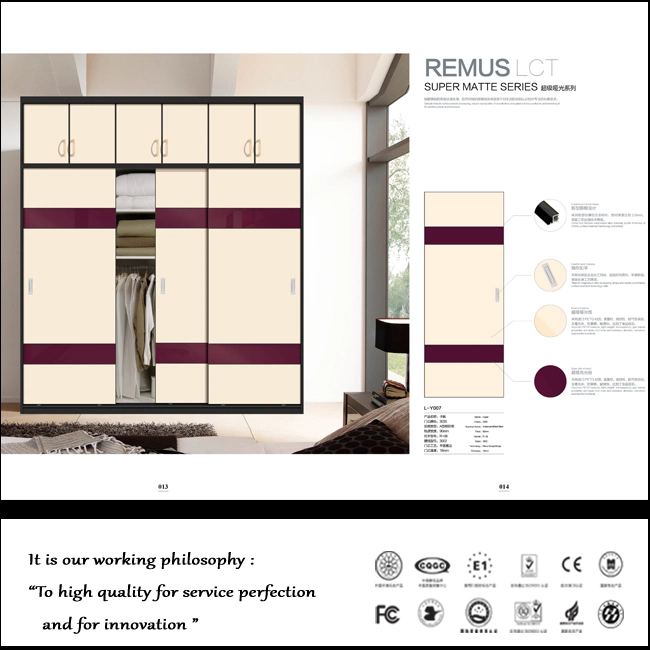 Two Sliding Doors Only for Bedroom Closet (zhuv)