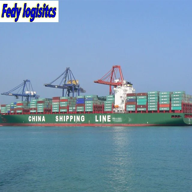 خدمة DDP من الباب إلى الباب من الشحن البحري الصيني إلى في جميع أنحاء العالم
