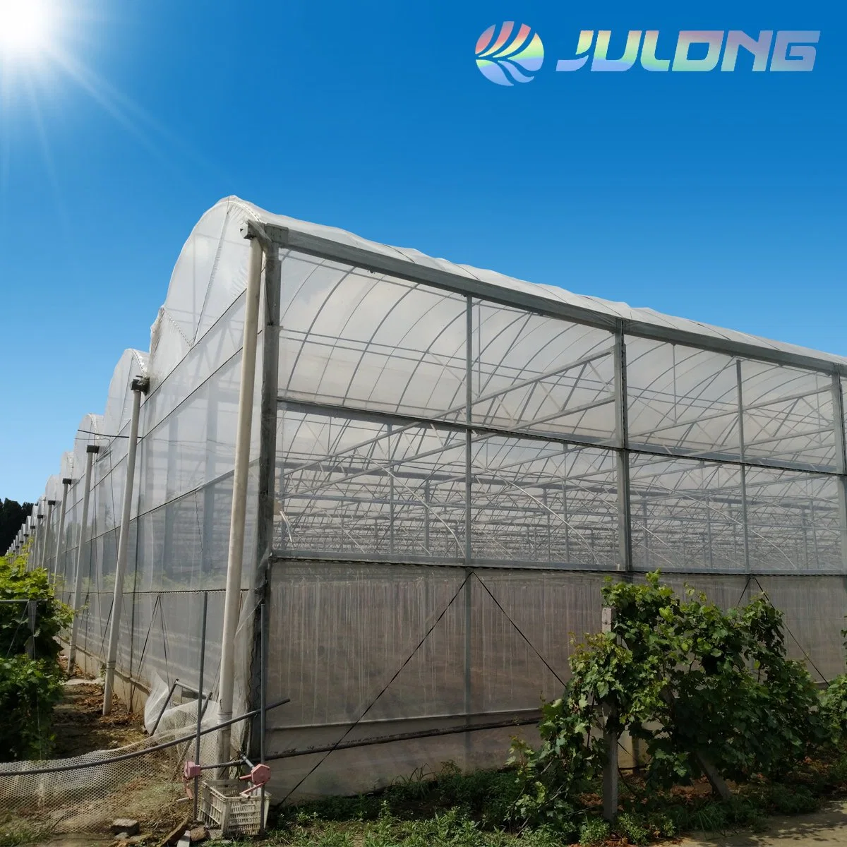 The Lowest Price Hot Sale Julong Agriculture Commercial Industrial Plastic Film Greenhouse