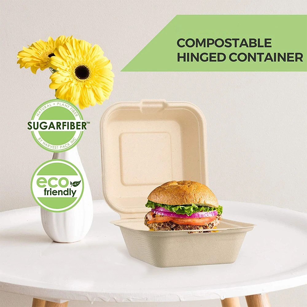 La bagasse Pack de pâte de prendre des nouilles de riz de Fast Food Hamburger Paper Box