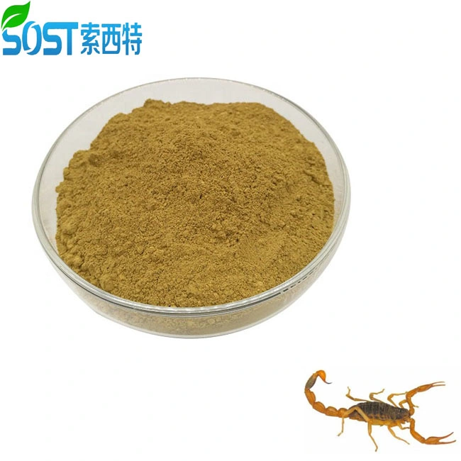 Alimentation d'usine extrait naturel de qualité supérieure de la poudre de Scorpion