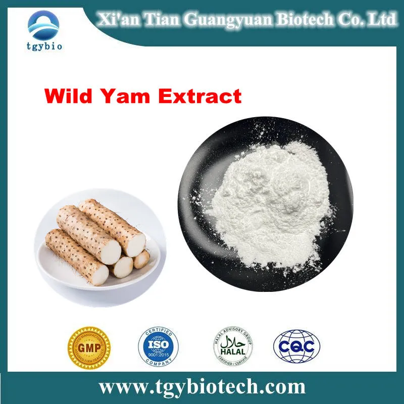 Professional Plant Extract Manufacturer Wild Yam Extract Powder