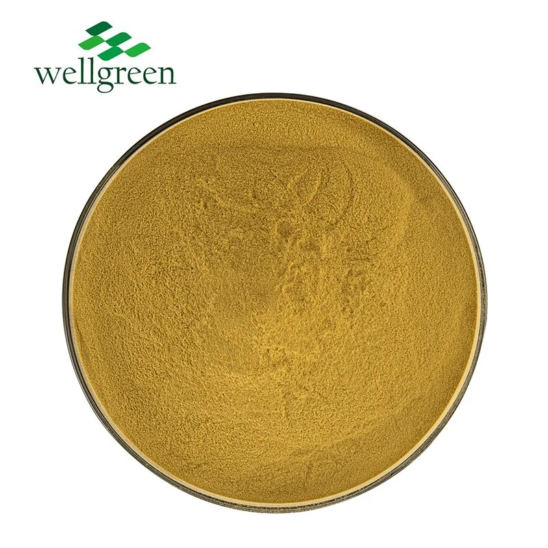 Wellgreen Supply Food Grade Natural Kudzu Root Extract