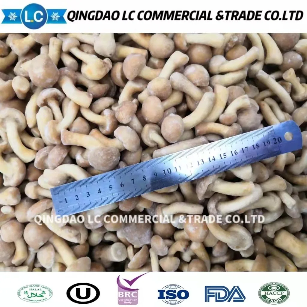 Fresh Organic Frozen Nameko Mushroom, IQF Nameko Mushroom with Wholesale/Supplier Price