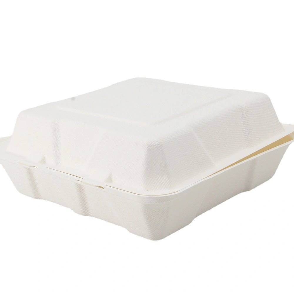 Hot Sale Food Container More Rigid Disposable Tableware for You Want