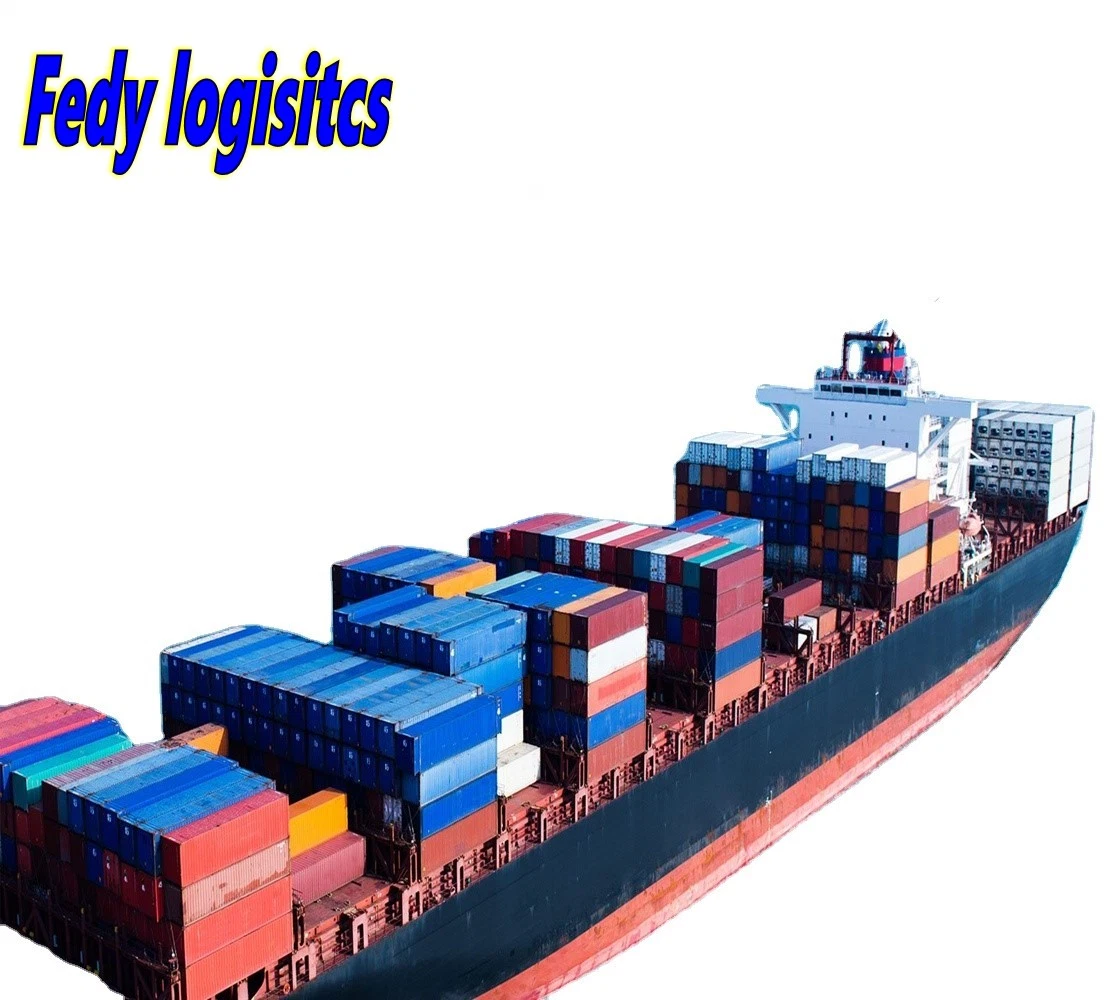 Professional Sea Freight Forwarder Agent Shipping From China to Colombia/Buenaventura, Guayaquil