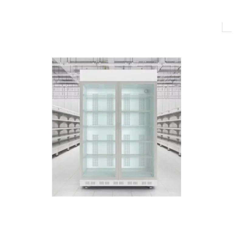 Commercial Upright Frozen Freezer with Digital Temperature Display Price for Sale