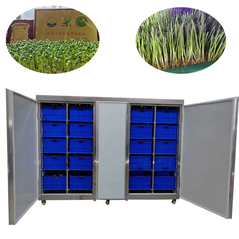 Animal Feed Hydroponic Fodder Making Bean Sprouts Grow Machine