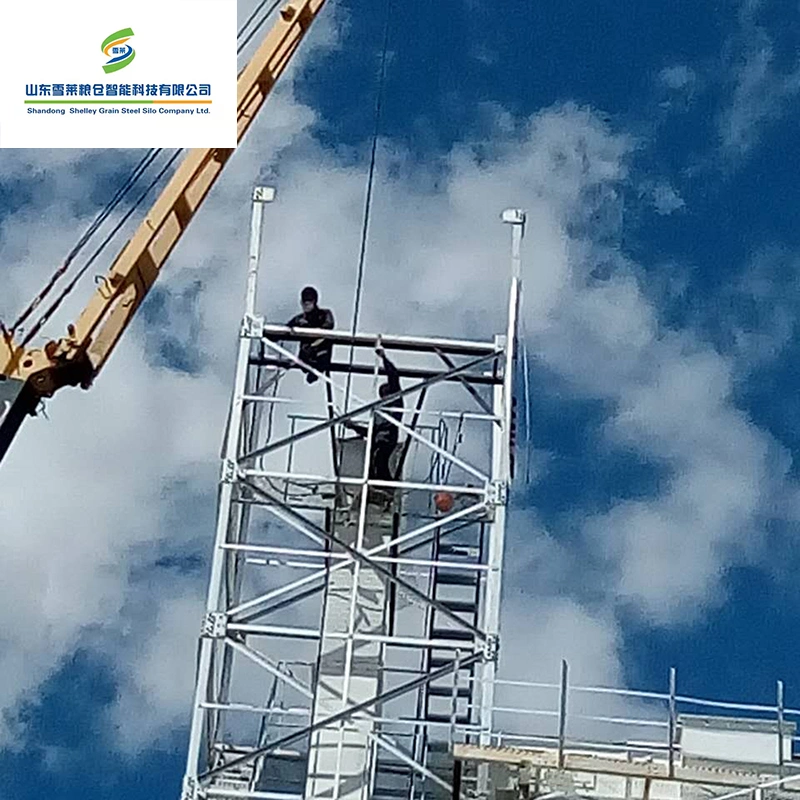 Pequeño elevador de cangilones de tolva de la máquina para el transporte de grano