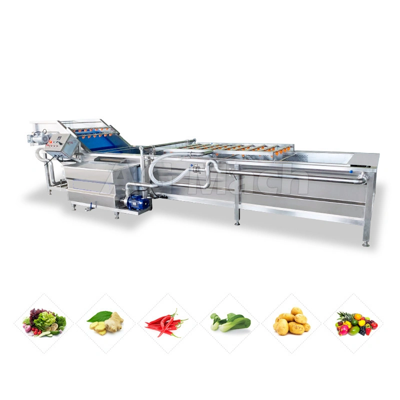 Automatic Oysters Brush Roller Cleaning Machine Fruit Washing Production Line