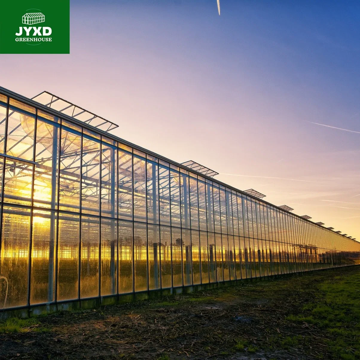 Agricultura moderna Multi-Span estufa de vidro personalizada com refrigeração do sistema de Hidroponia Sistema para legumes frutas flores Strawberry tomate