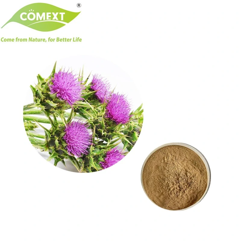 Comext Natural Herb Bulk Supply Milk Thistle 40% Silymarin Extract Powder for Healthcare Supplement