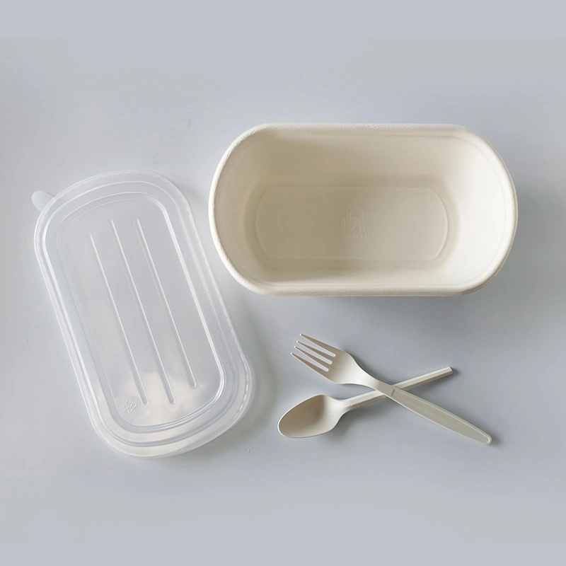 Biodegradable Wooden Food Container Dessert Bakery Pastry Cake Veneer Cheese Sushi Charcuterie Board Packing Box with Clear Lid