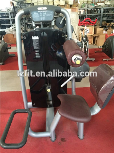 Back Extension Tz-6006 /Gym Use Fitness Machine for Sale