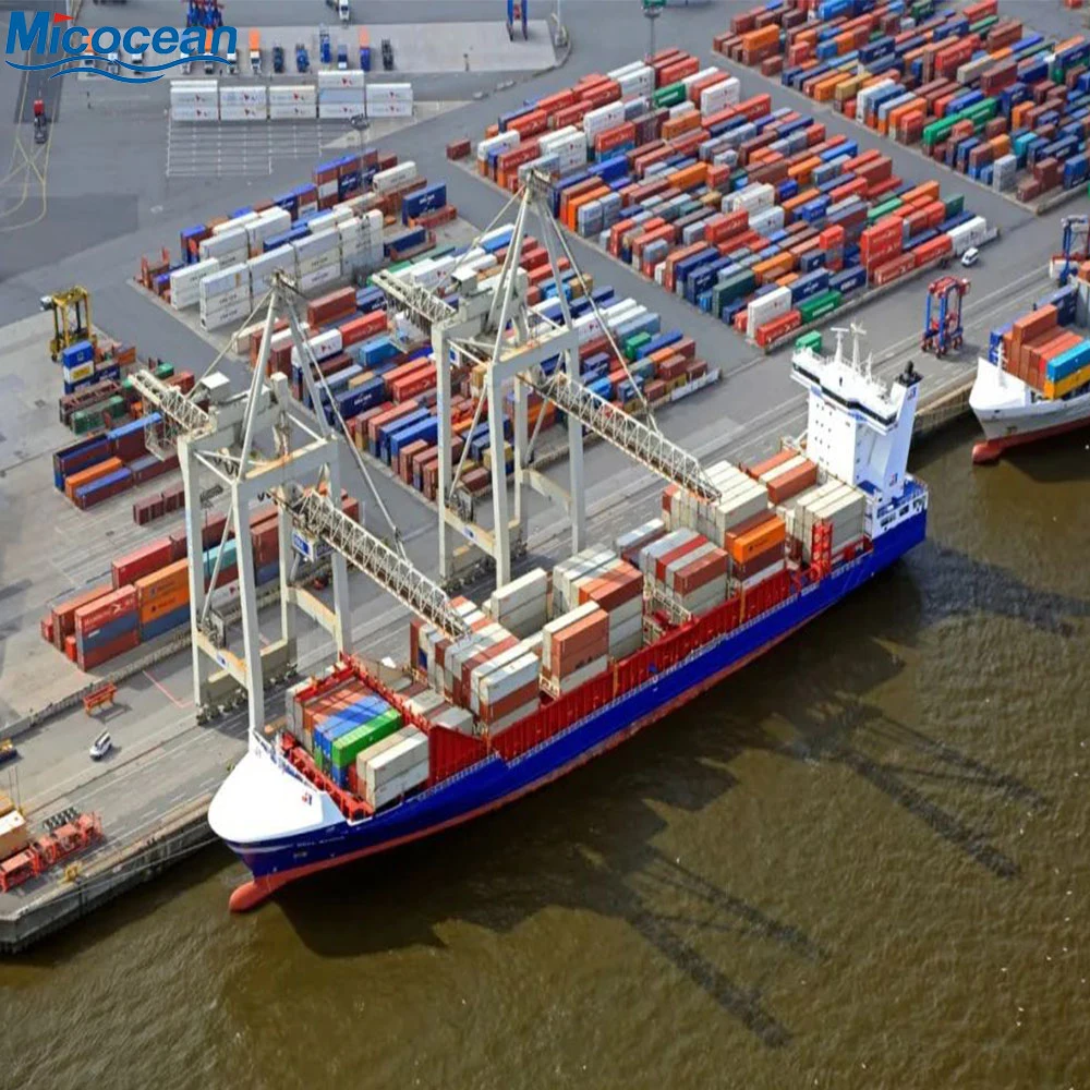 International Logistics Sea Freight Forwarder From Qingdao/Shanghai China to Asia