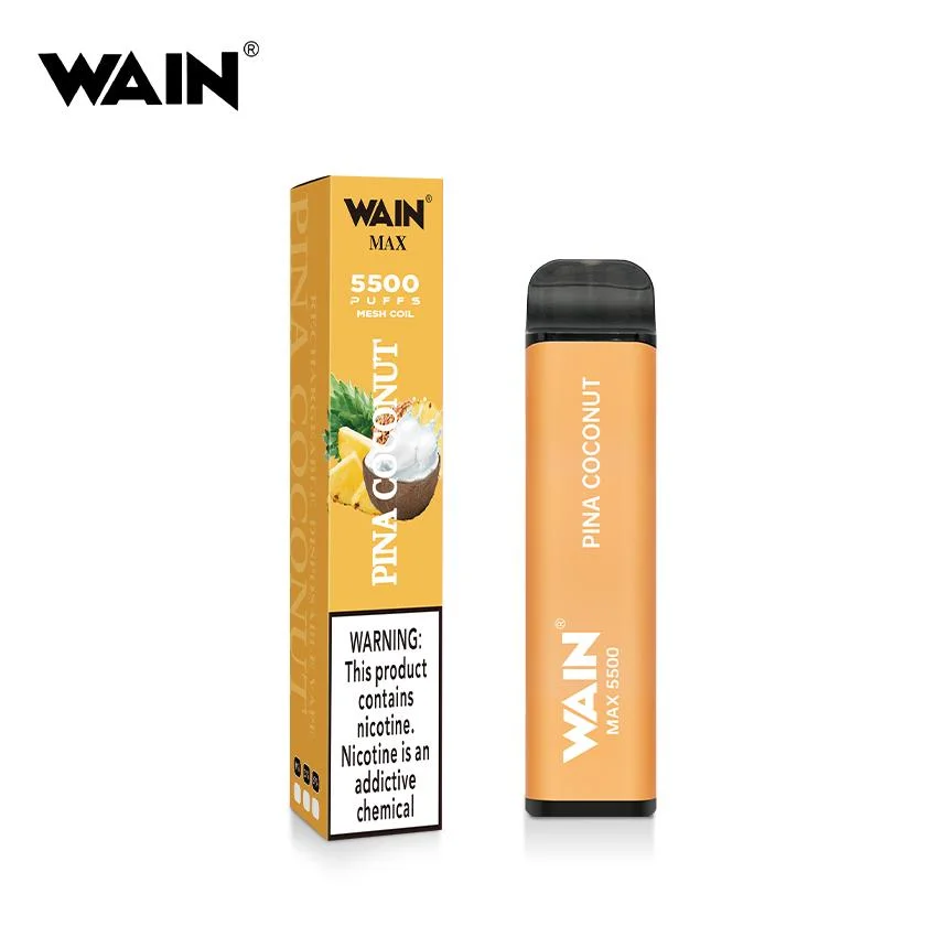 العلامة التجارية الأصلية Wain Max مجموعة أدوات علبة السجائر الإلكترونية القابلة للاستخدام بعد الاستخدام 5500 مع 10 نكهات