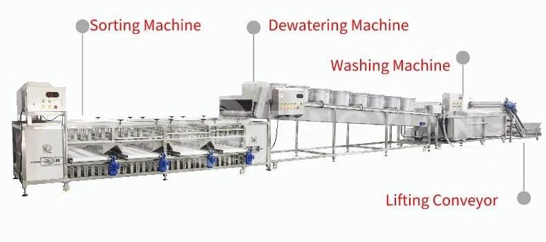 Industrial Fruit Processing Line Orange Washing Dewatering Grading Machines