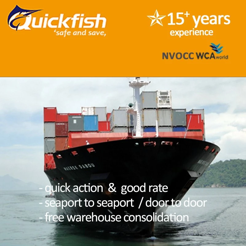 Best International Consolidation Shipping Roro Ship From China to USA Europe