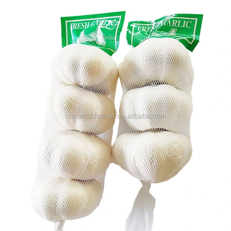 Frischer Knoblauch Normal White Super Garlic Preis Pro Ton Neu Freistellen