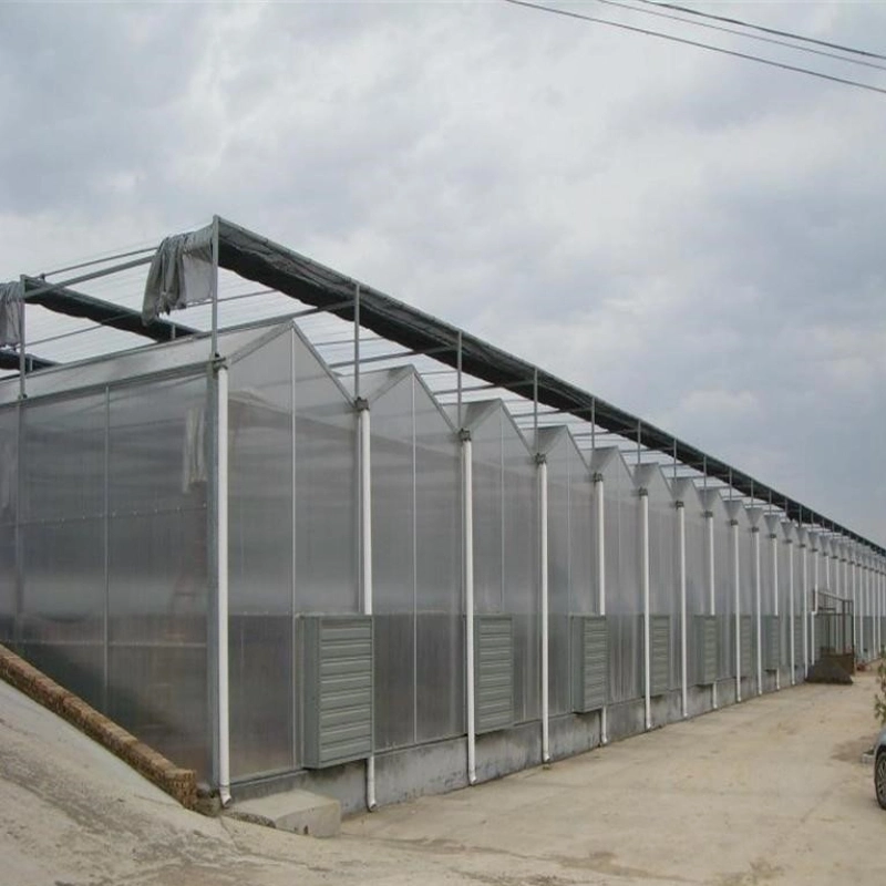 Multi-Span Poly Carbonate Agricultural Greenhouse for Tomato/ Cucumber/ Lettuce/ Pepper Planting