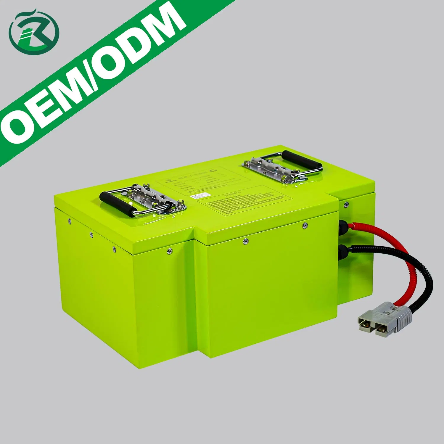 Batterie Lipo 24 V 60 V 72 V 100 ah pour moto électrique Tricycle véhicule basse vitesse