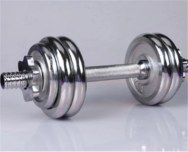 Gym Accessories Adjustable Electroplating Dumbbell (with elctroplating bar) Free Weight