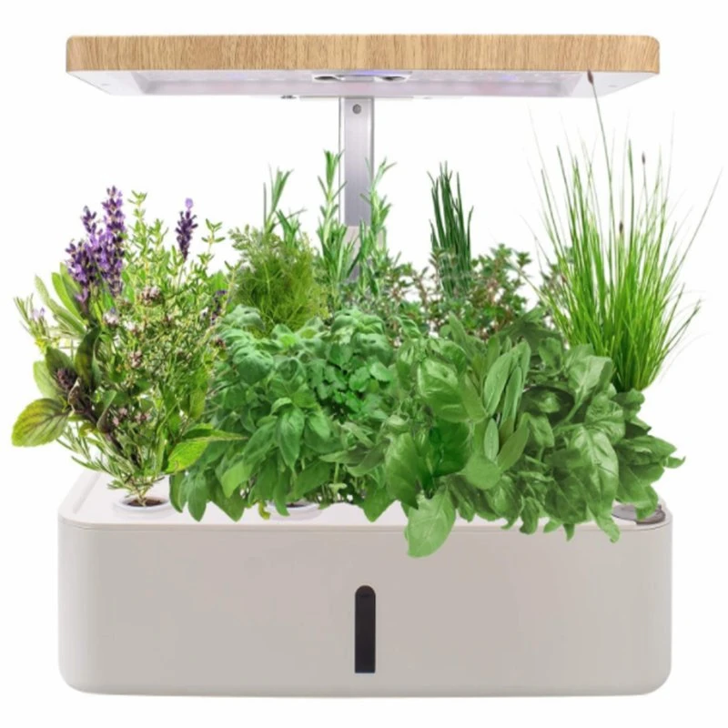 Indoor Plastic Smart Garden Mini Hydroponics Systems with LED